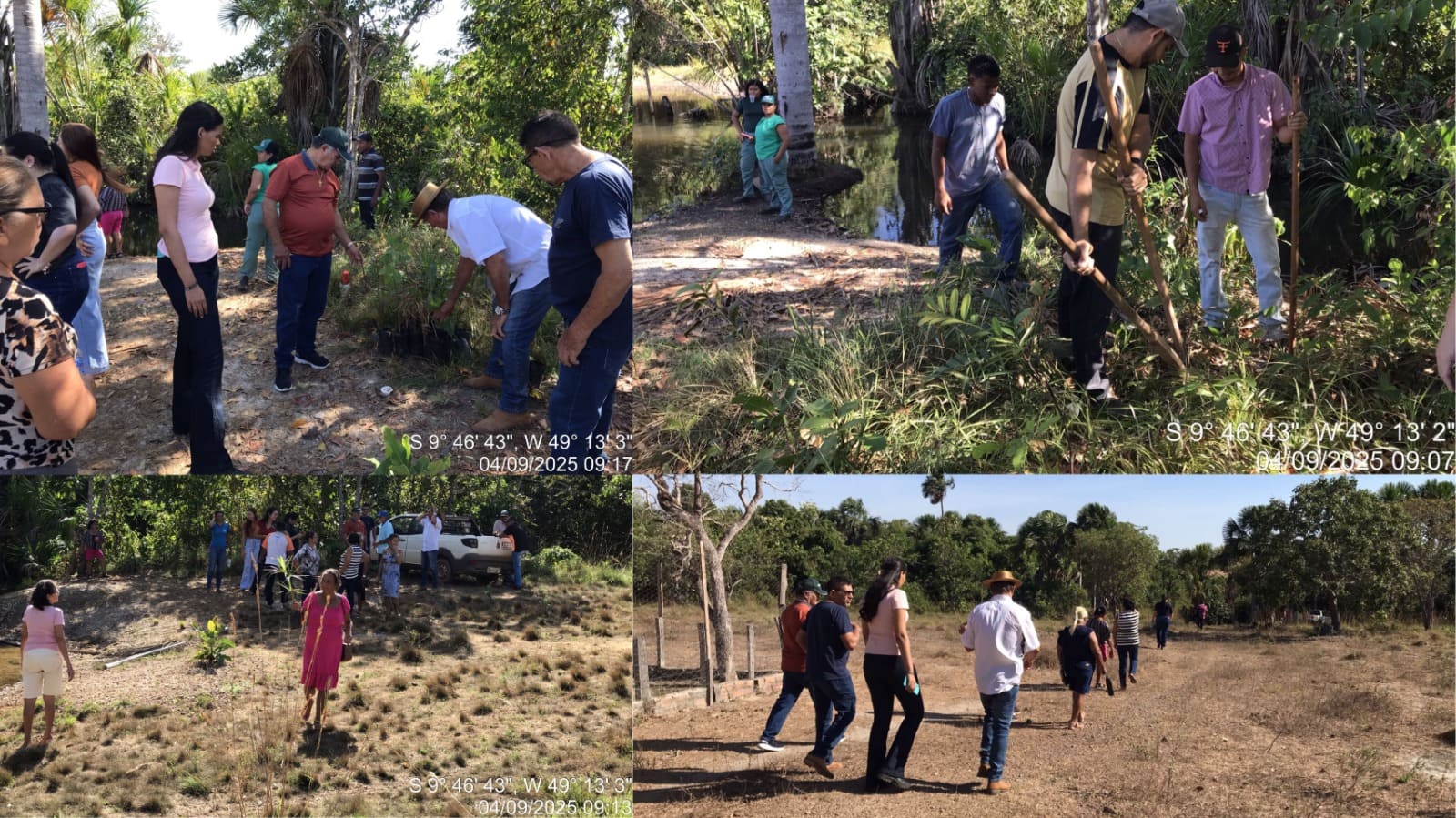 Divinópolis do Tocantins promove Dia de Campo com plantio de mudas em Área de Preservação Permanente